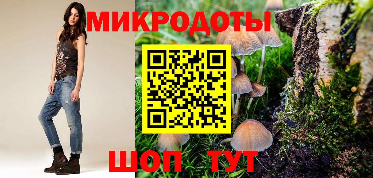 Псилоцибиновые грибы мицелий  Вход с VPN  Каменск-Шахтинский  цена   Псилоцибиновые грибы MAGIC MUSHROOMS 